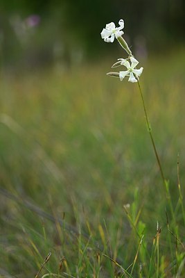 BUITEN BEELD Foto: 180866