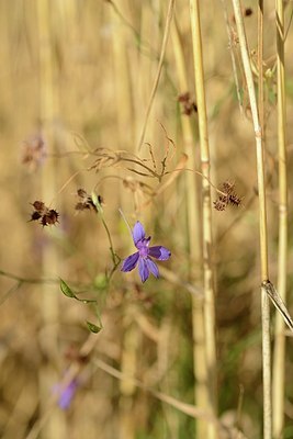 BUITEN BEELD Foto: 180885