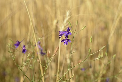 BUITEN BEELD Foto: 180886