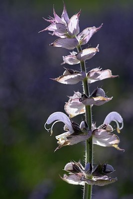 BUITEN BEELD Foto: 180896