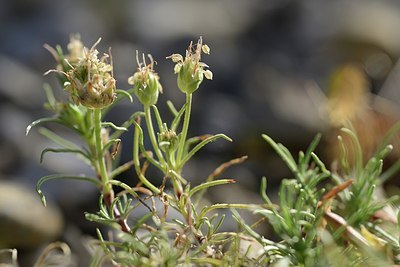 BUITEN BEELD Foto: 180903