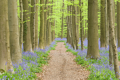 BUITEN BEELD Foto: 180912