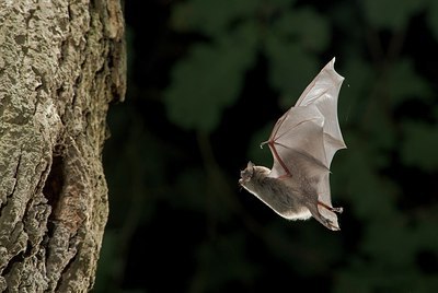 BUITEN BEELD Foto: 180914