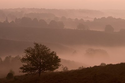 BUITEN BEELD Foto: 180940