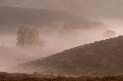BUITEN BEELD Foto: 180942