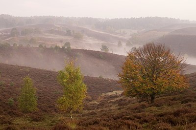 BUITEN BEELD Foto: 180944