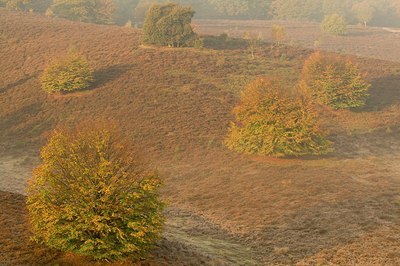 BUITEN BEELD Foto: 180945