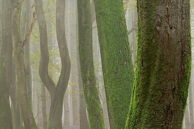 BUITEN BEELD Foto: 180965
