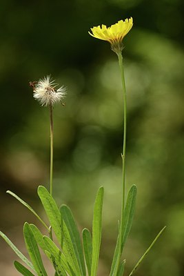 BUITEN BEELD Foto: 180973