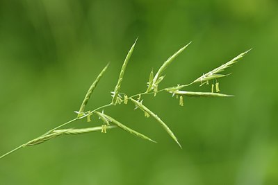 BUITEN BEELD Foto: 180980