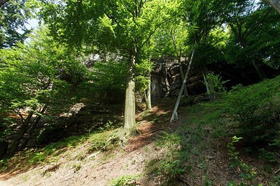BUITEN BEELD Foto: 180999