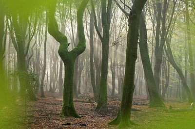 BUITEN BEELD Foto: 181016