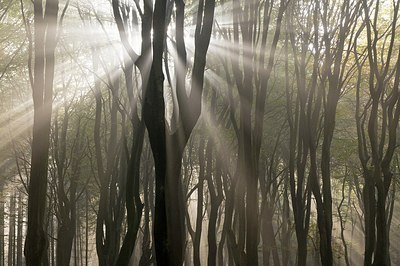 BUITEN BEELD Foto: 181021