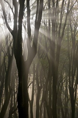 BUITEN BEELD Foto: 181023