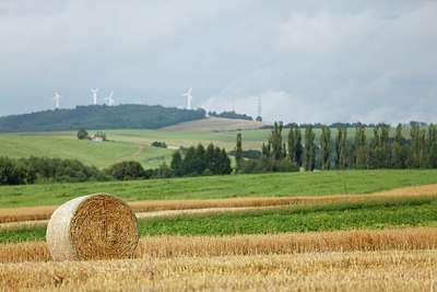 BUITEN BEELD Foto: 181091