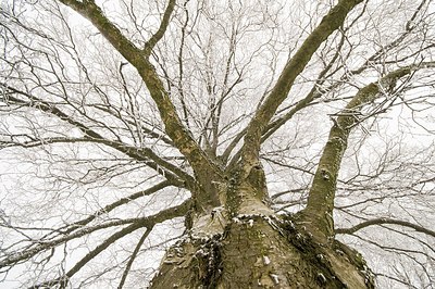 BUITEN BEELD Foto: 181108