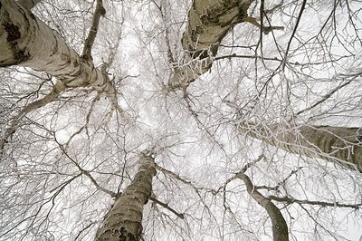 BUITEN BEELD Foto: 181112