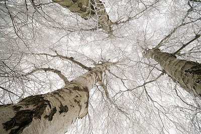 BUITEN BEELD Foto: 181113
