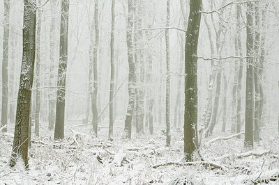 BUITEN BEELD Foto: 181196