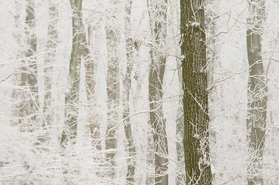 BUITEN BEELD Foto: 181199