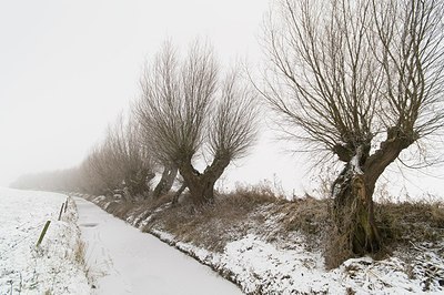 BUITEN BEELD Foto: 181210