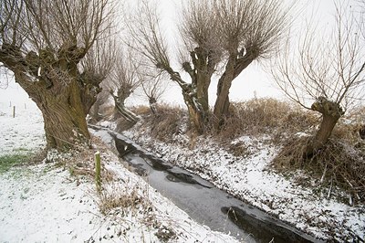 BUITEN BEELD Foto: 181211