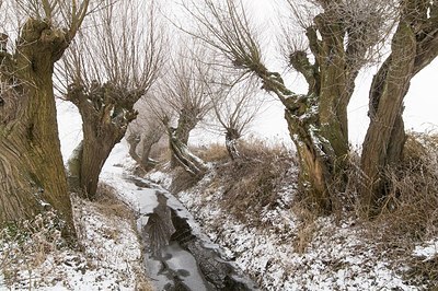 BUITEN BEELD Foto: 181212