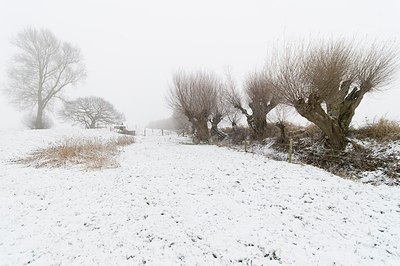 BUITEN BEELD Foto: 181215