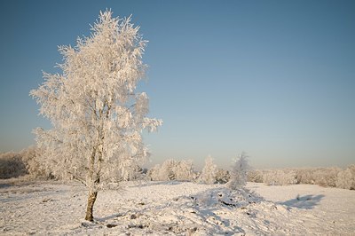 BUITEN BEELD Foto: 181258