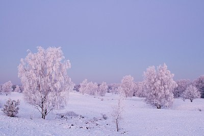 BUITEN BEELD Foto: 181261