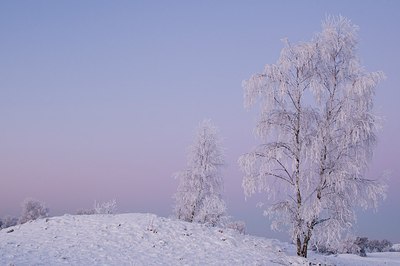 BUITEN BEELD Foto: 181264