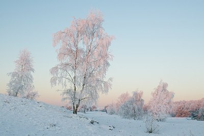 BUITEN BEELD Foto: 181265