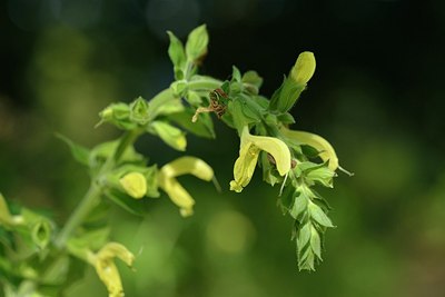 BUITEN BEELD Foto: 181358