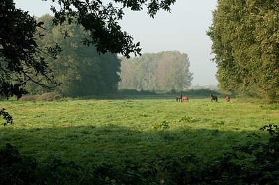 BUITEN BEELD Foto: 181475