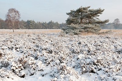 BUITEN BEELD Foto: 181509