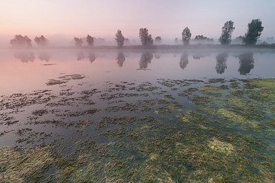 BUITEN BEELD Foto: 181533