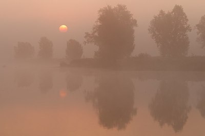 BUITEN BEELD Foto: 181534