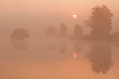 BUITEN BEELD Foto: 181535