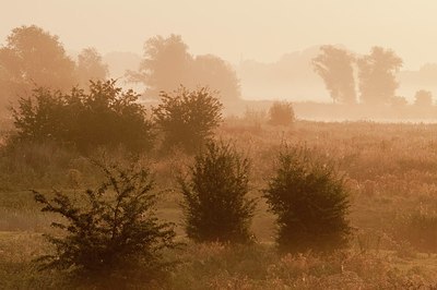 BUITEN BEELD Foto: 181541