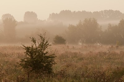 BUITEN BEELD Foto: 181542