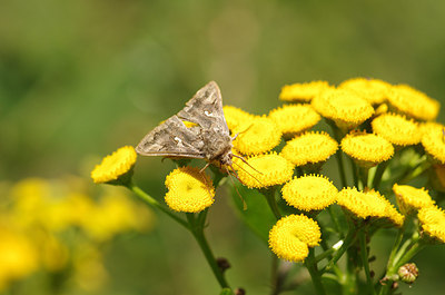 BUITEN BEELD Foto: 181554