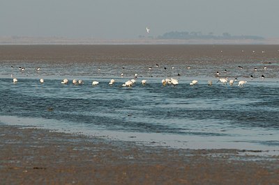 BUITEN BEELD Foto: 181575