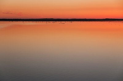 BUITEN BEELD Foto: 181592