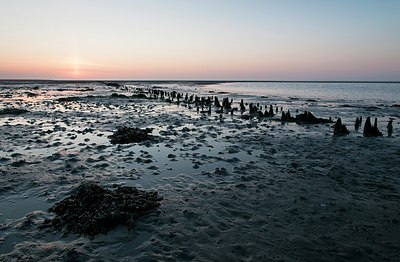 BUITEN BEELD Foto: 181599