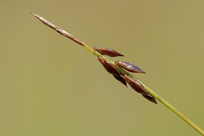 BUITEN BEELD Foto: 181612