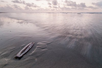 BUITEN BEELD Foto: 181619