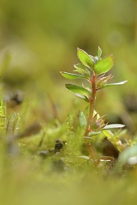 BUITEN BEELD Foto: 181630