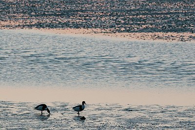BUITEN BEELD Foto: 181631