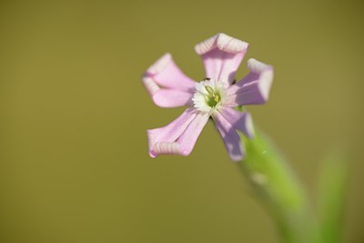 BUITEN BEELD Foto: 181639