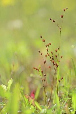 BUITEN BEELD Foto: 181644